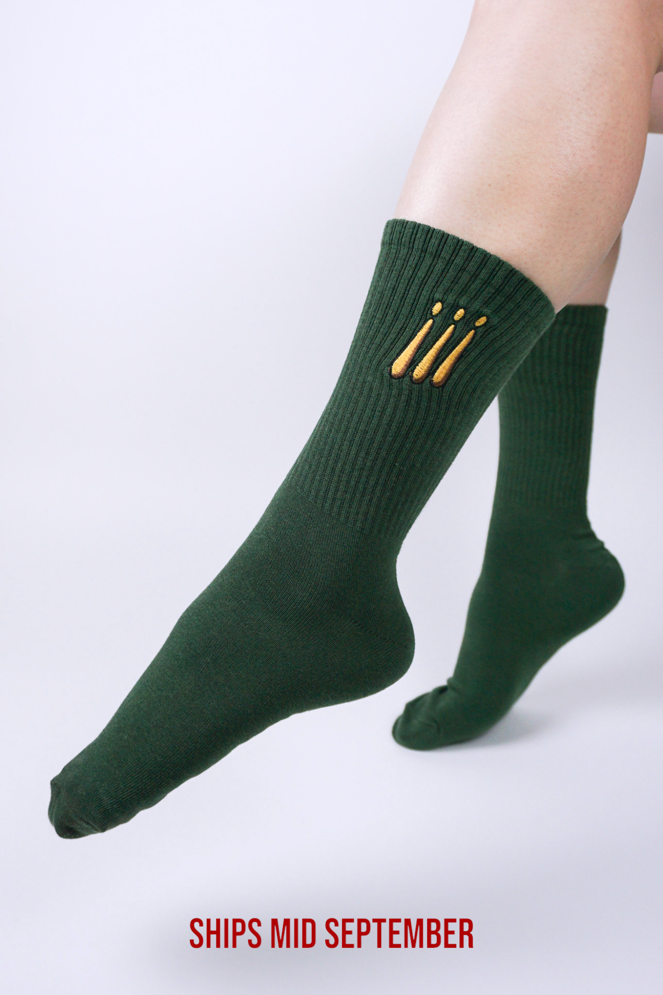 [PRE-ORDER] Zoro Socks