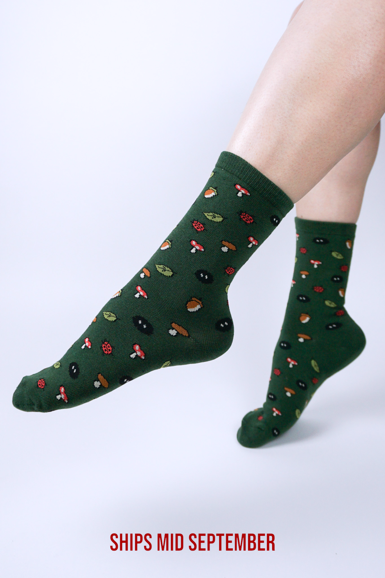 [PRE-ORDER] Friendly neighbour Socks
